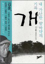 개 개
