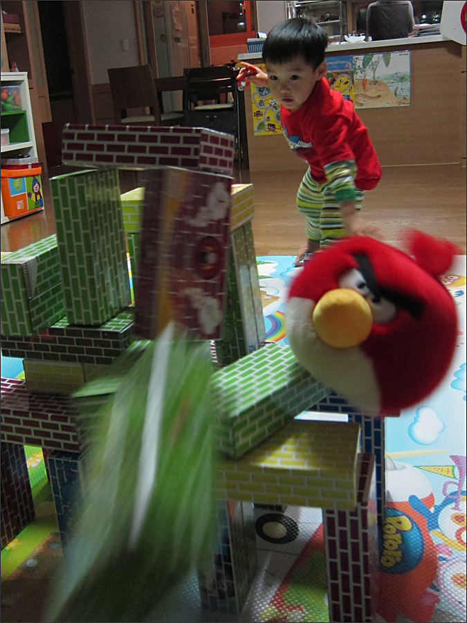 리얼 앵그리버드(Angry Birds)