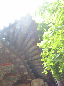 석굴암의 햇살 석굴암의 햇살